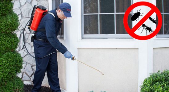 Kırklareli Hamam Böceği İlaçlama böcek ilaçlama ve haşere kontrolü — ilaclama-tr.com